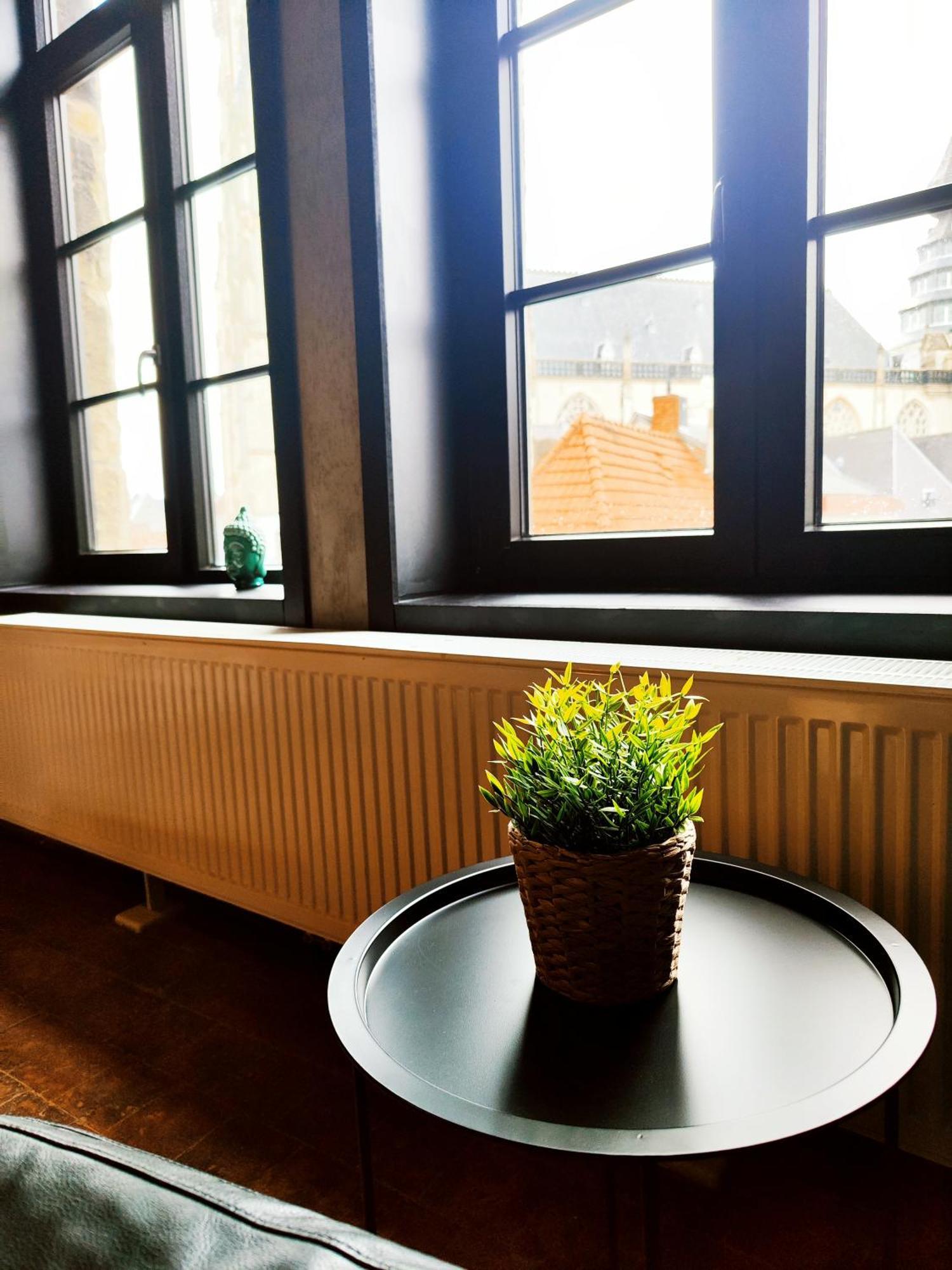 Apartment Rooftop With 60m Terrace Overlooking The Cathedral